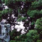 image: Image from the photoset &lsquo;untitled (xxx)&rsquo;.