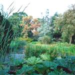 image: Image from the photoset &lsquo;untitled (xxx)&rsquo;.