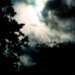 image: Image from the photoset &lsquo;untitled (xxx)&rsquo;.