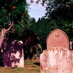 First image from the photoset 'raunds (ii)'.