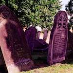 image: smaller things