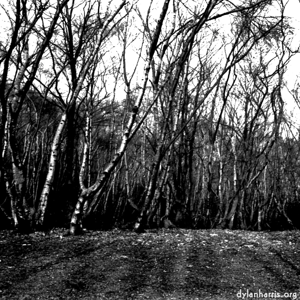 image: This is &lsquo;revisited (ii) 3&rsquo;.