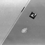 image: Image from the photoset &lsquo;revisited (ii)&rsquo;.