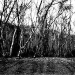 image: Image from the photoset &lsquo;revisited (ii)&rsquo;.