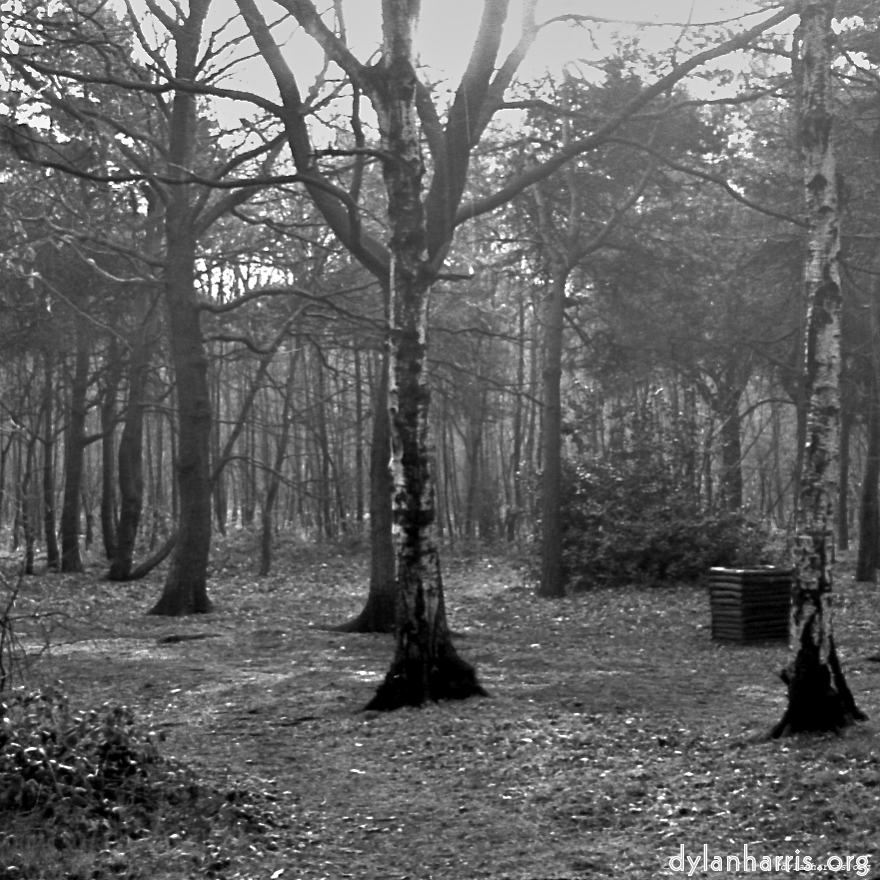 image: This is &lsquo;revisited (iii) 1&rsquo;.