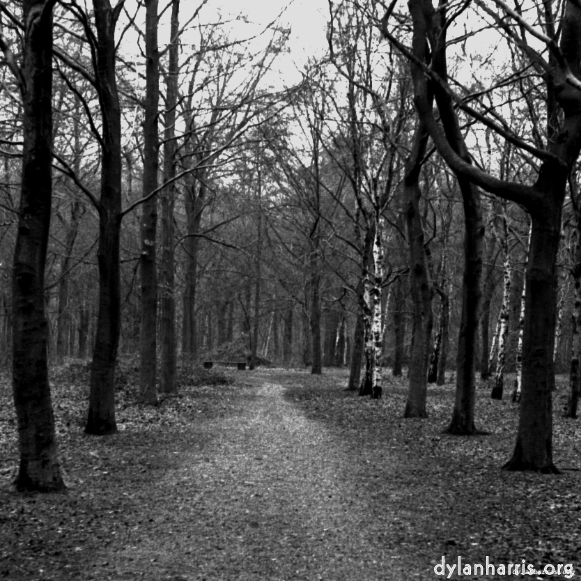 image: This is &lsquo;revisited (iii) 10&rsquo;.