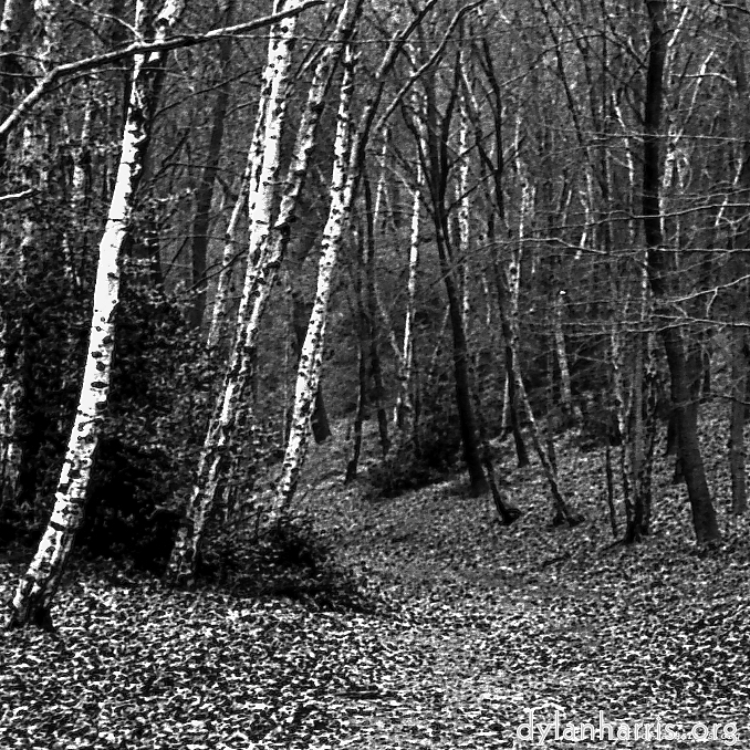 image: This is &lsquo;revisited (iii) 12&rsquo;.