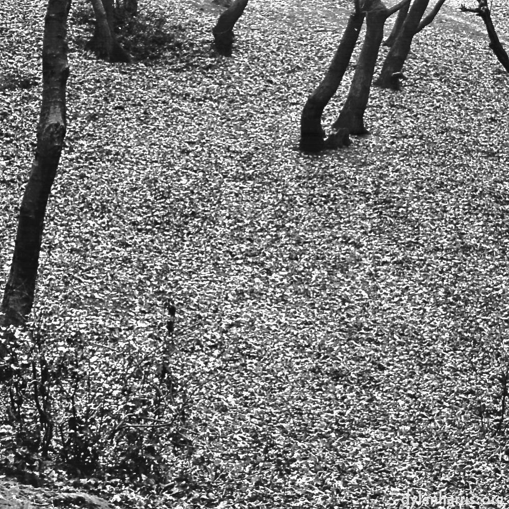 image: This is &lsquo;revisited (iii) 6&rsquo;.