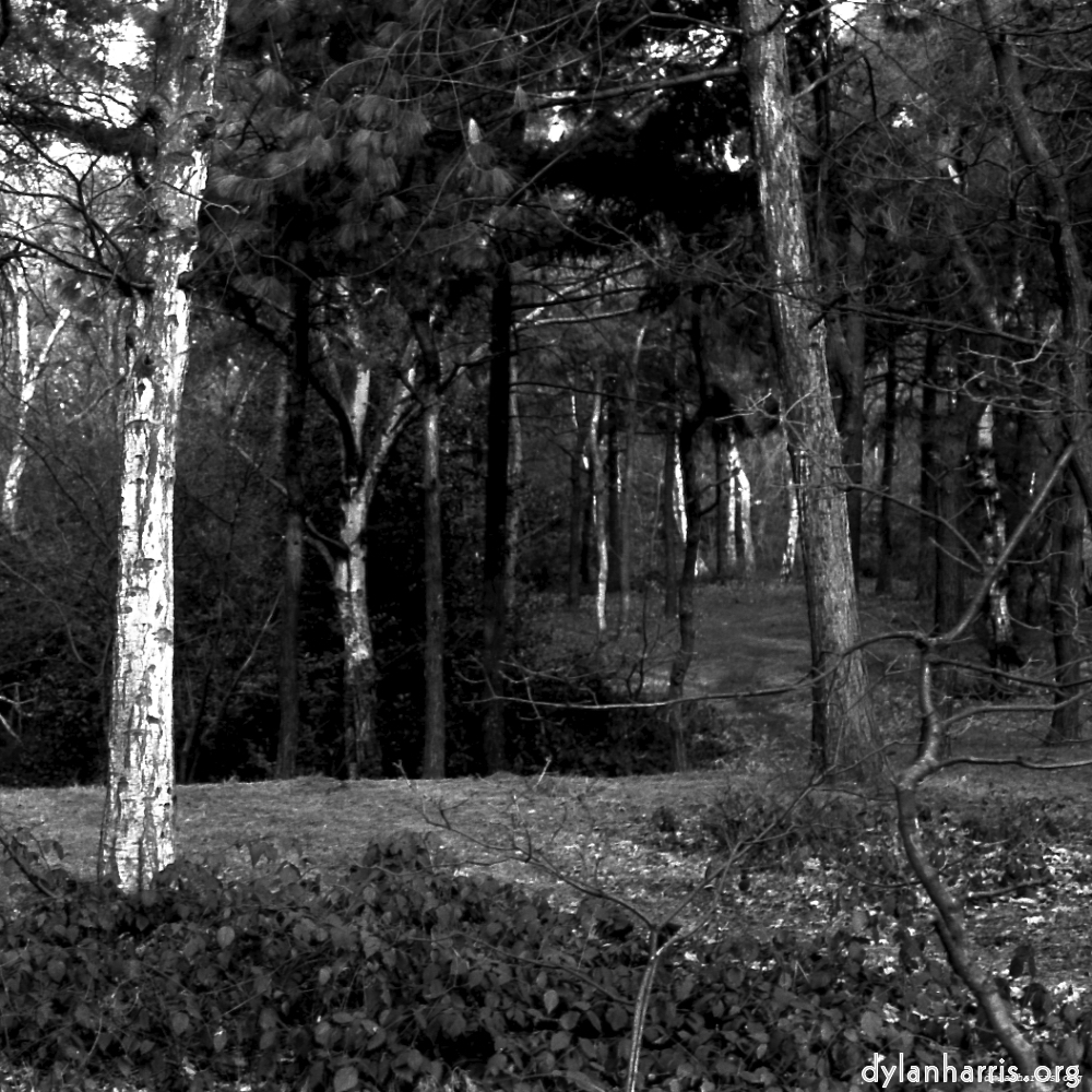 image: This is &lsquo;revisited (iii) 7&rsquo;.