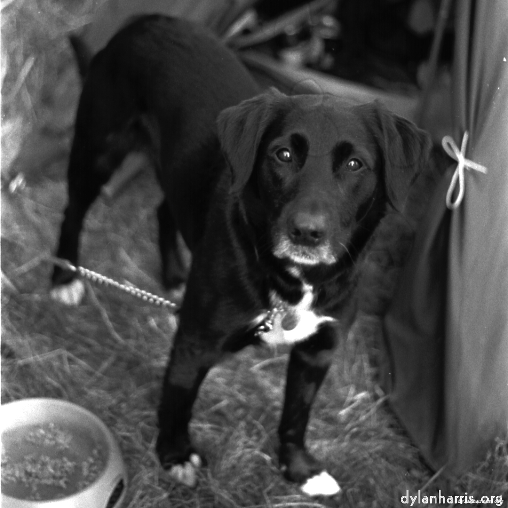 image: This is &lsquo;revisited (iii) 8&rsquo;.