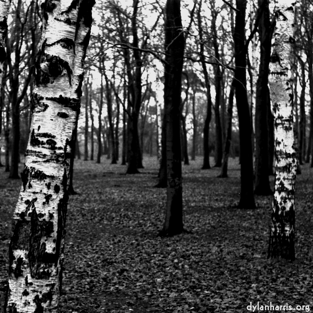 image: This is &lsquo;revisited (iii) 9&rsquo;.