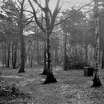 image: Image from the photoset &lsquo;revisited (iii)&rsquo;.