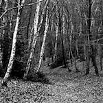 image: Image from the photoset &lsquo;revisited (iii)&rsquo;.