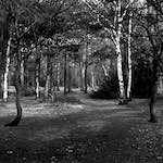 image: Image from the photoset &lsquo;revisited (iii)&rsquo;.