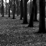 image: Image from the photoset &lsquo;revisited (iii)&rsquo;.