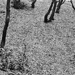 image: Image from the photoset &lsquo;revisited (iii)&rsquo;.