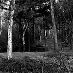 image: Image from the photoset &lsquo;revisited (iii)&rsquo;.