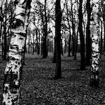 image: Image from the photoset &lsquo;revisited (iii)&rsquo;.