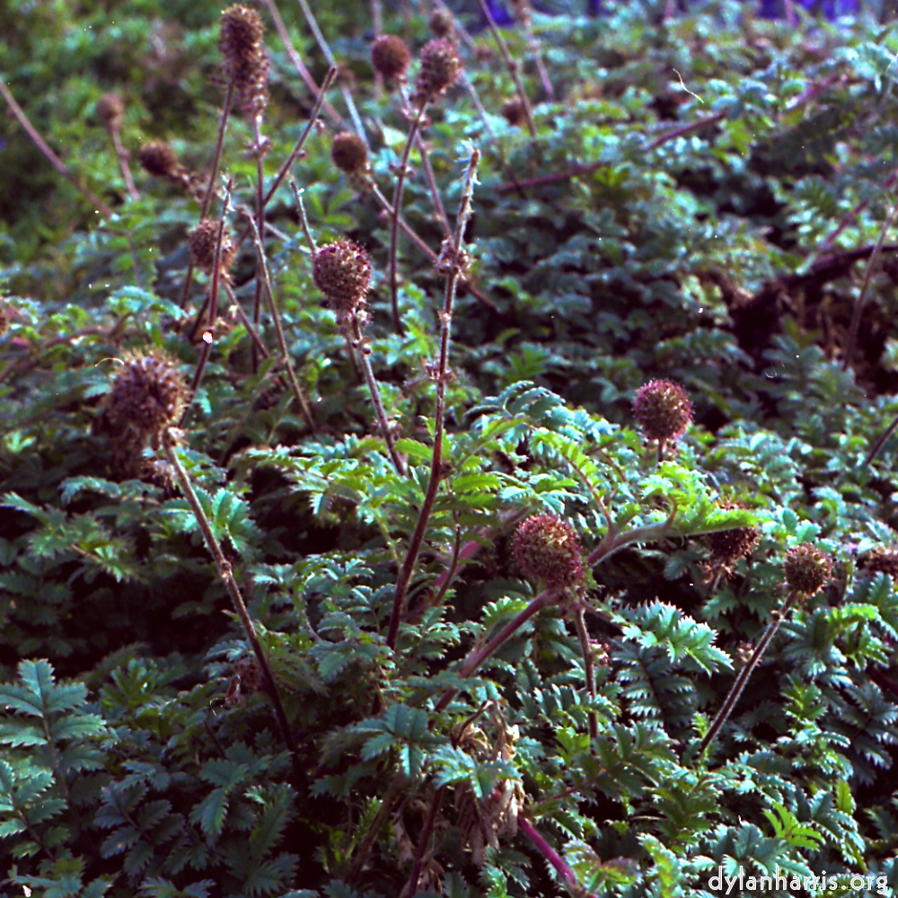 image: This is &lsquo;revisited (v) 10&rsquo;.