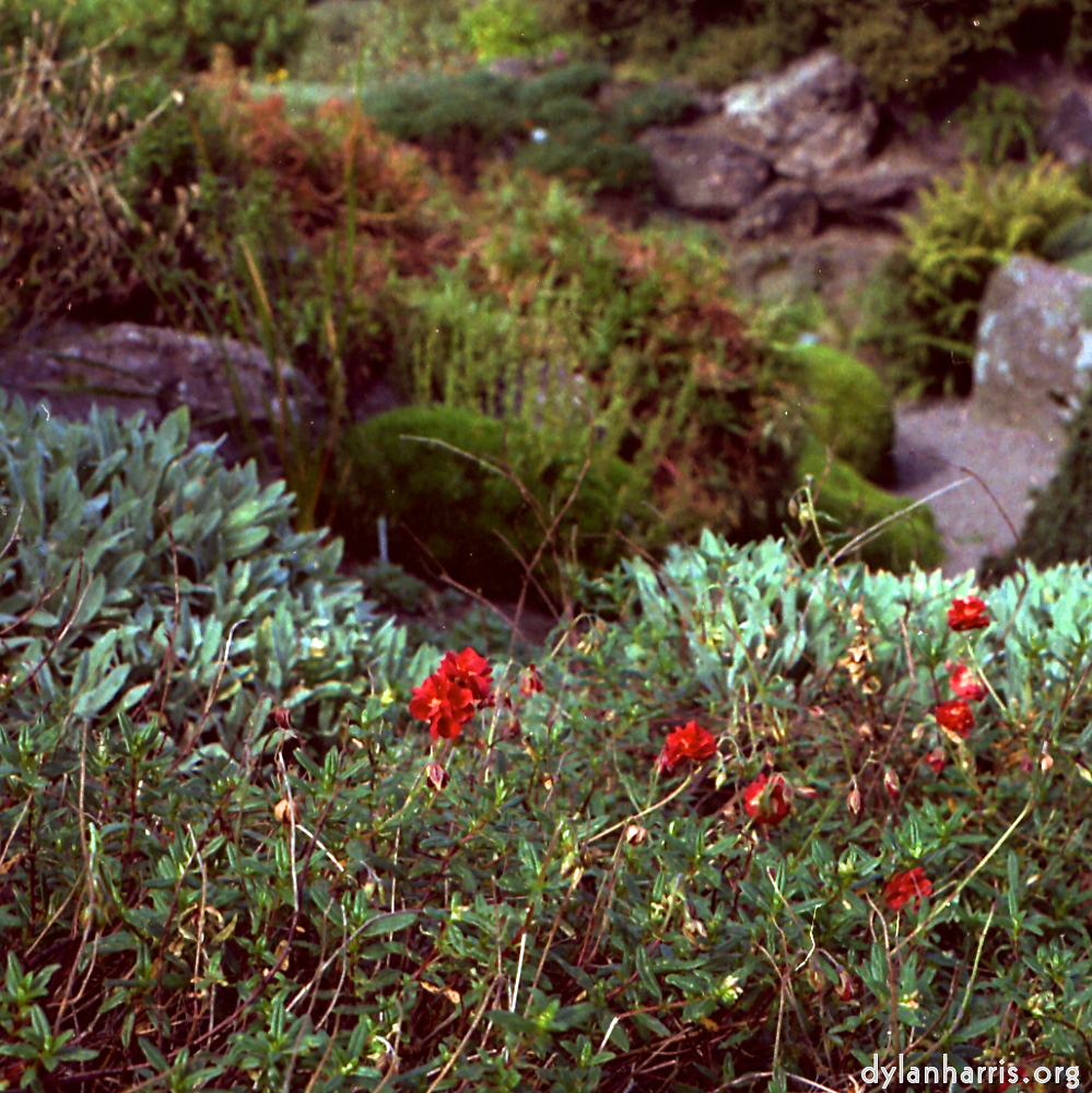 image: This is &lsquo;revisited (v) 4&rsquo;.