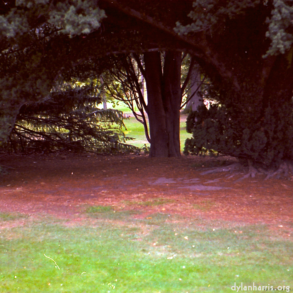 image: This is &lsquo;revisited (v) 5&rsquo;.