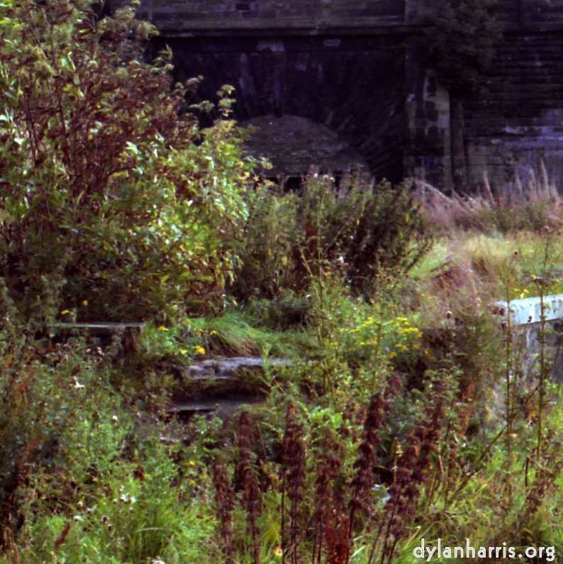 image: This is &lsquo;revisited (v) 7&rsquo;.