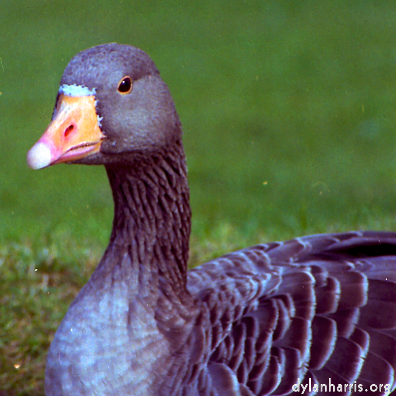 image: This is &lsquo;revisited (v) 8&rsquo;.