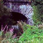 image: Image from the photoset &lsquo;revisited (v)&rsquo;.