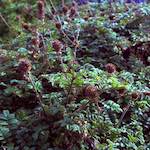 image: Image from the photoset &lsquo;revisited (v)&rsquo;.