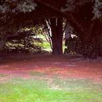 image: Image from the photoset &lsquo;revisited (v)&rsquo;.