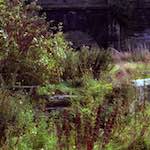 image: Image from the photoset &lsquo;revisited (v)&rsquo;.