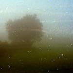 image: Image from the photoset &lsquo;revisited (viii)&rsquo;.