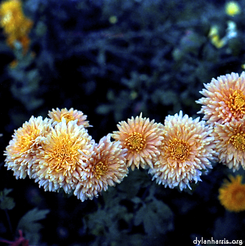 image: This is &lsquo;revisited (ix) 12&rsquo;.