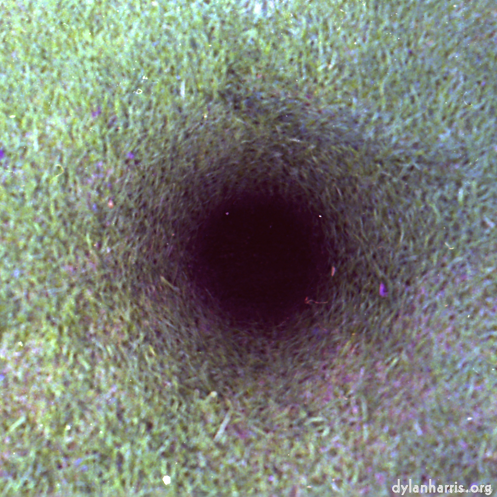 Image 'revisited (ix) 8'.