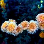 image: Image from the photoset &lsquo;revisited (ix)&rsquo;.