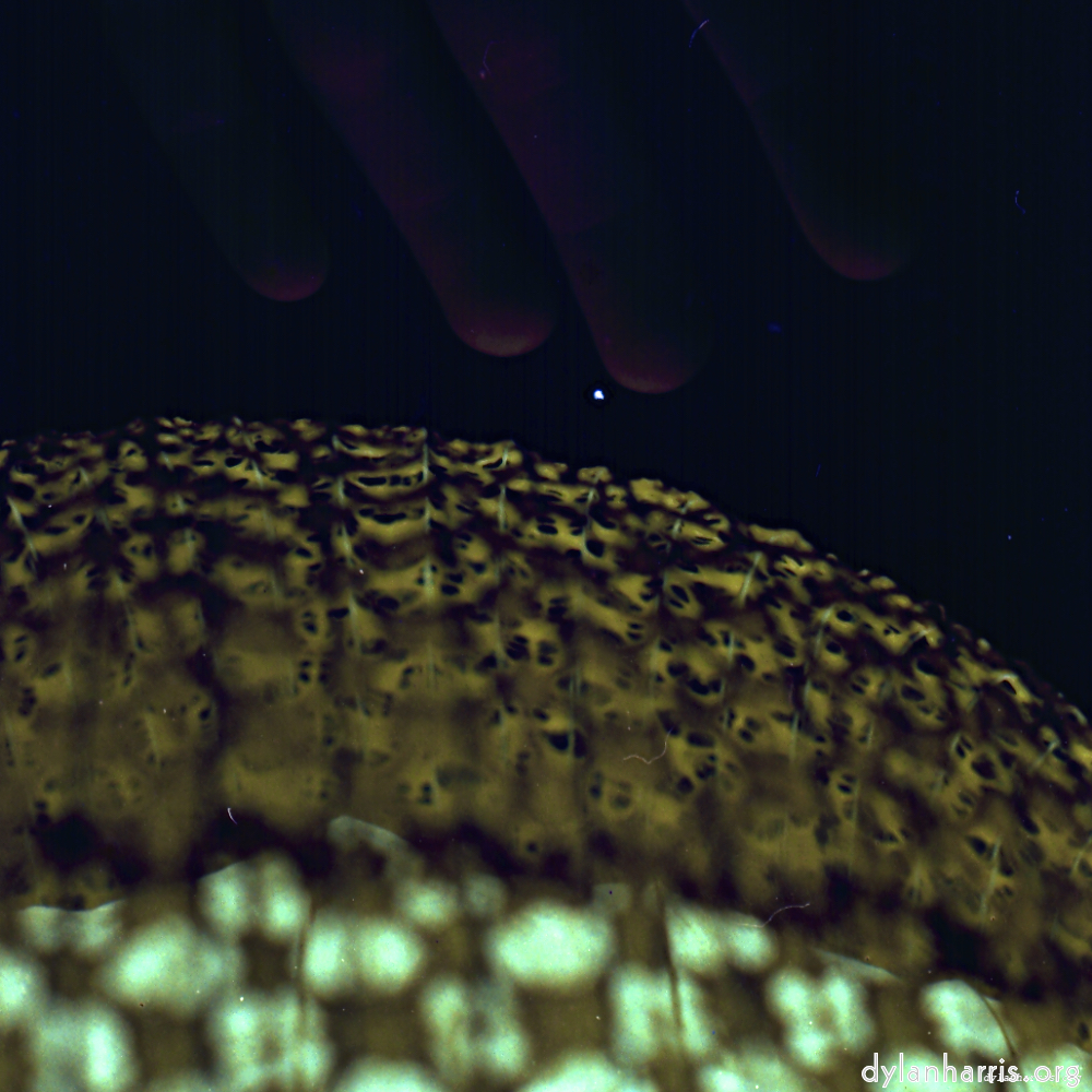 Image 'revisited (x) 5'.