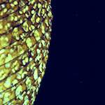 image: Image from the photoset &lsquo;revisited (x)&rsquo;.