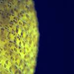 image: Image from the photoset &lsquo;revisited (x)&rsquo;.