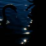 image: Image from the photoset &lsquo;revisited (xvii)&rsquo;.