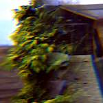 image: Image from the photoset &lsquo;revisited (xiii)&rsquo;.