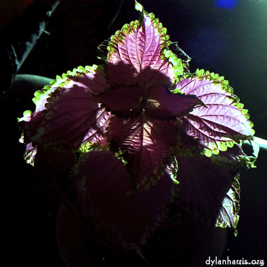 image: This is &lsquo;revisited (xiv) 8&rsquo;.