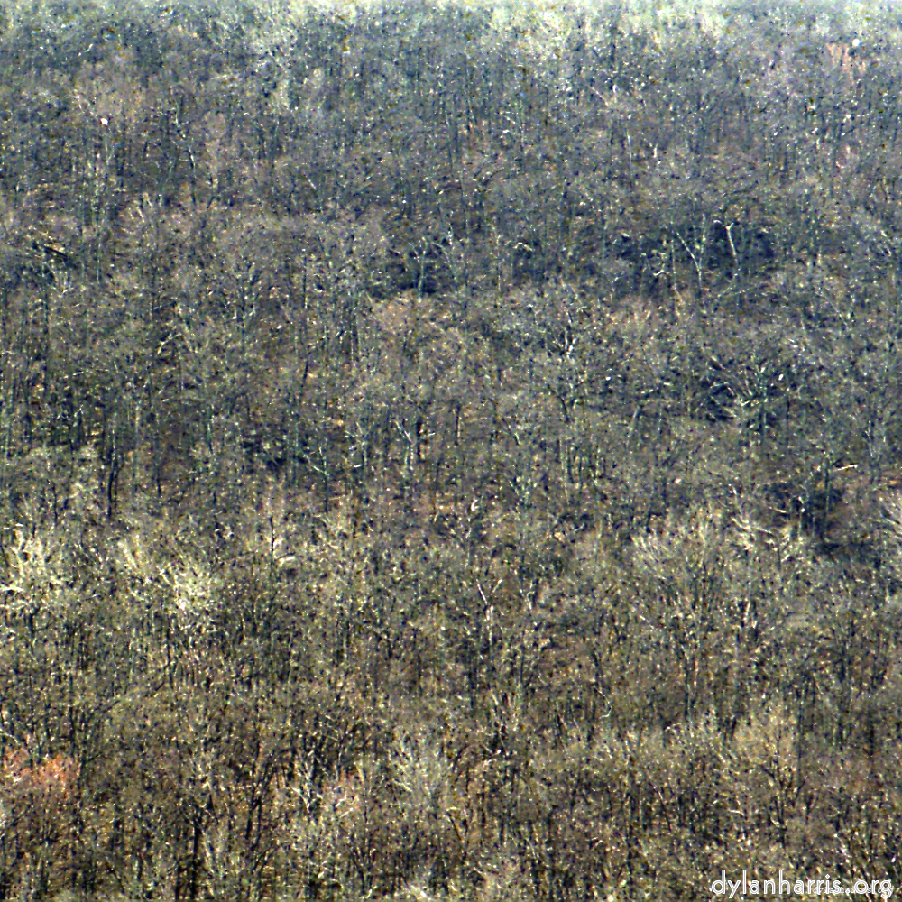 image: This is &lsquo;revisited (xiv) 9&rsquo;.