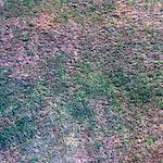 image: Image from the photoset &lsquo;revisited (xiv)&rsquo;.