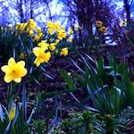 image: Image from the photoset &lsquo;revisited (xiv)&rsquo;.