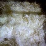 image: Image from the photoset &lsquo;revisited (xiv)&rsquo;.