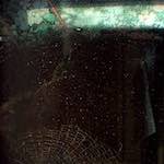 image: Image from the photoset &lsquo;revisited (xiv)&rsquo;.