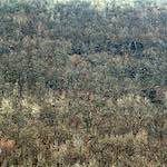 image: Image from the photoset &lsquo;revisited (xiv)&rsquo;.