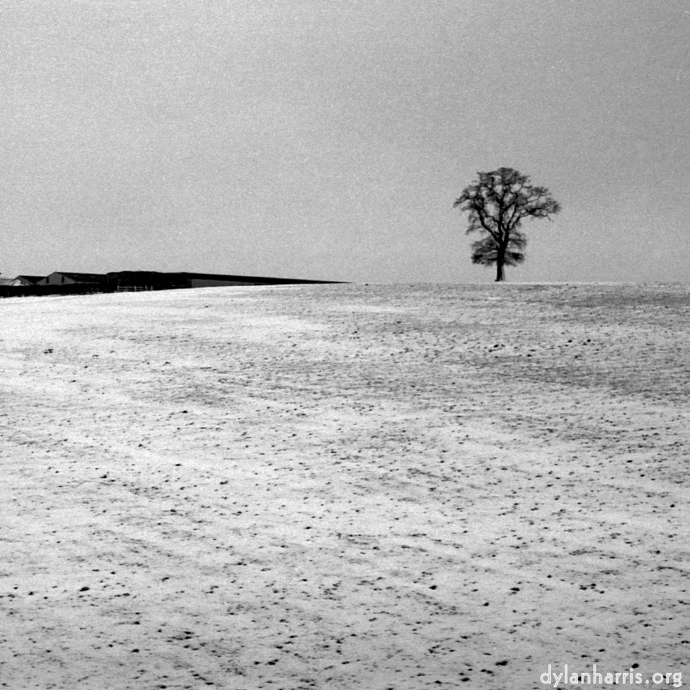 image: This is &lsquo;revisited (xix) 1&rsquo;.