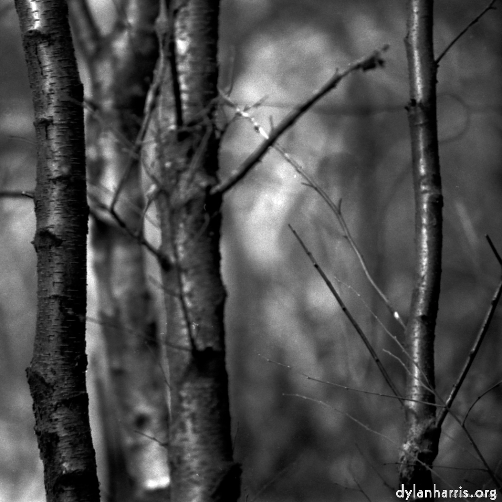 image: This is &lsquo;revisited (xix) 2&rsquo;.