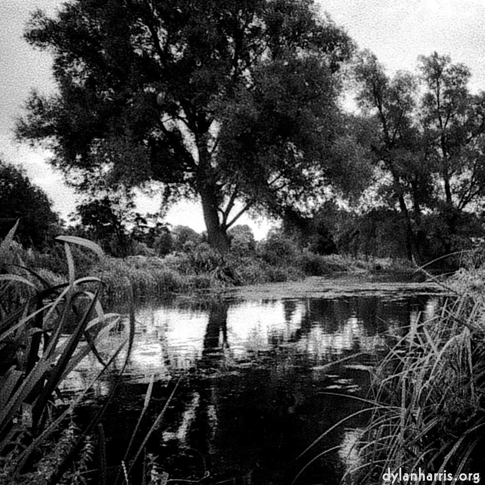 Image: Image 'revisited (xix) 6'.